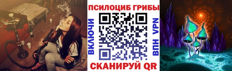 купить  сайты  даркнет телеграм  Псилоцибиновые грибы мухоморы  Чулым 